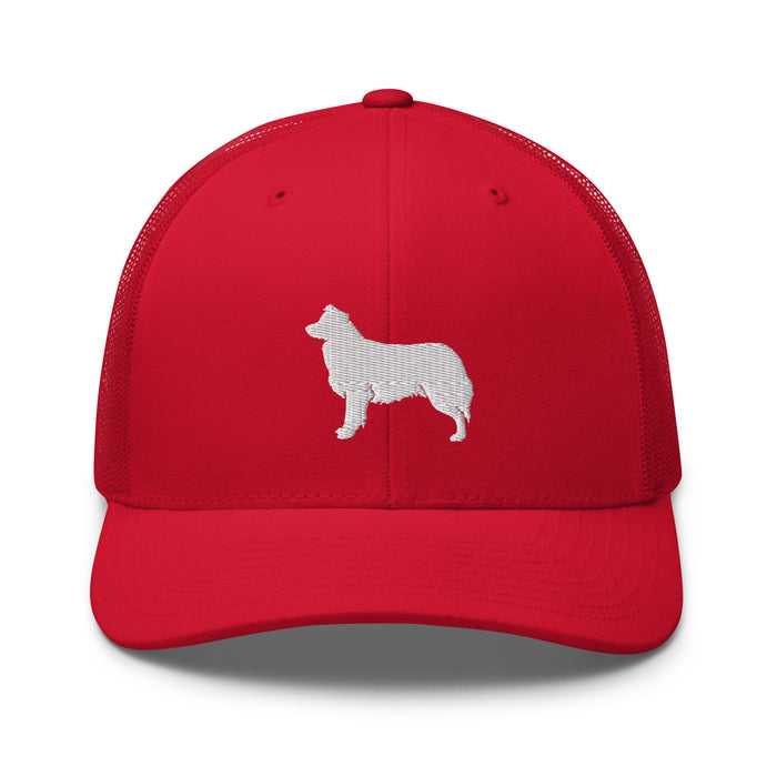 Border Collie Signature Cap