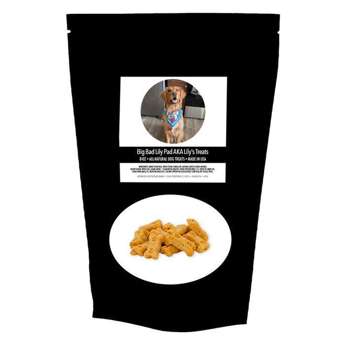 Dog of the Month — November