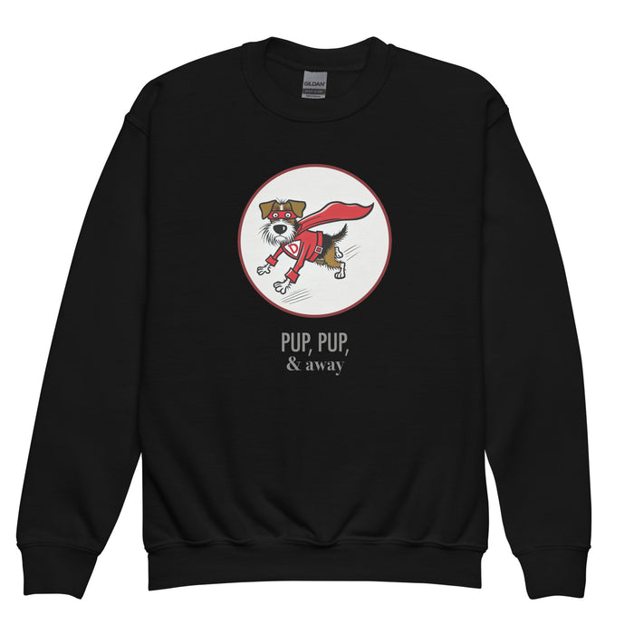 Superhero Youth Sweatshirt