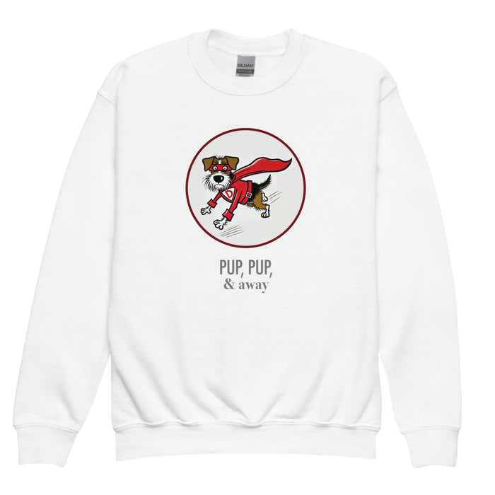 Superhero Youth Sweatshirt